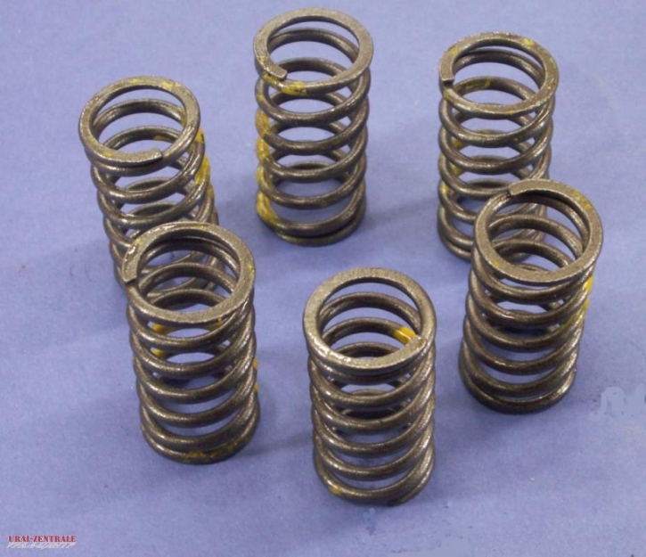 Coupling springs for Royal Enfield