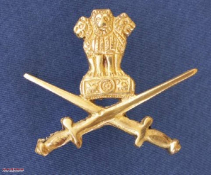 Small brass sabre emblem lions