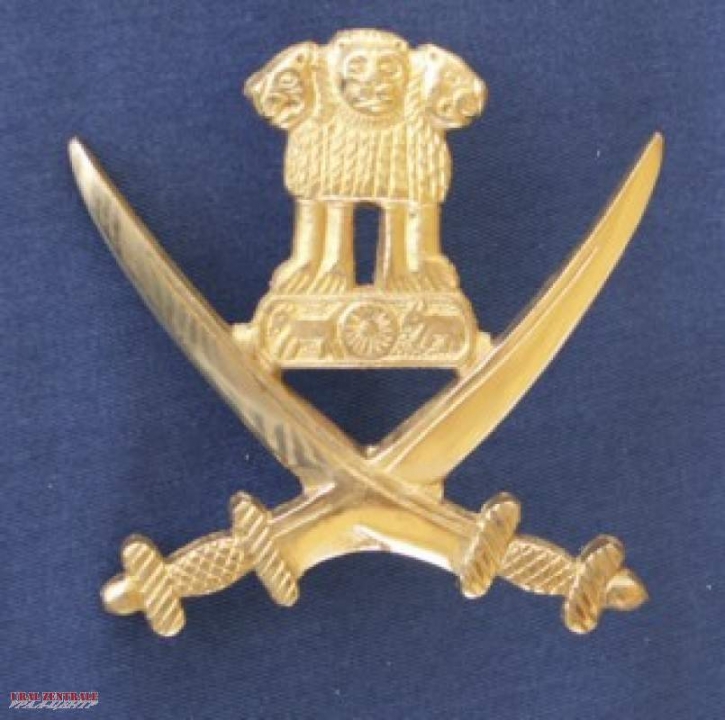 Big brass sabre emblem lions