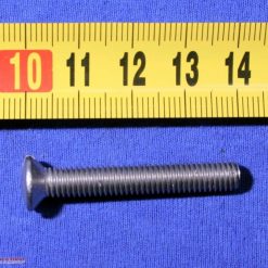 Raised countersunk slotted head screw M6 x 1 x 40