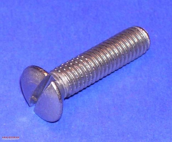 Countersunk lens head bolt 6 x 25 mm, zinc-platedl