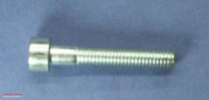 Innensechskanntschraube M8 x 60